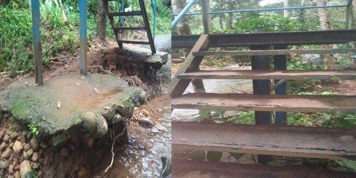 മണ്ണീറ ആദിവാസി കോളനിയിലേക്കുള്ള പാലം അപകടാവസ്ഥയില് മണ്ണീറ ആദിവാസി കോളനിയിലേക്കുള്ള പാലം അപകടാവസ്ഥയില്