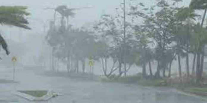 സംസ്ഥാനത്ത് വീണ്ടും മഴ മുന്നറിയിപ്പ് ; 10 ജില്ലകളില് യെല്ലോ അലര്ട്ട് പ്രഖ്യാപിച്ചിട്ടുണ്ട് സംസ്ഥാനത്ത് വീണ്ടും മഴ മുന്നറിയിപ്പ് ; 10 ജില്ലകളില് യെല്ലോ അലര്ട്ട് പ്രഖ്യാപിച്ചിട്ടുണ്ട്