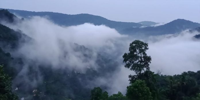 കോടമഞ്ഞ് പുതച്ച് പൂച്ചക്കുളം – സഞ്ചാരികൾക്ക് ദൃശ്യ ചാരുത പകരുന്നു കോടമഞ്ഞ് പുതച്ച് പൂച്ചക്കുളം – സഞ്ചാരികൾക്ക് ദൃശ്യ ചാരുത പകരുന്നു