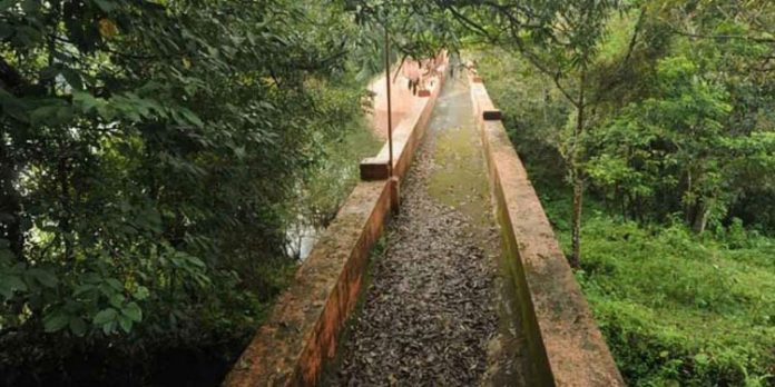 മരംമുറി ; സർക്കാർ നിർദേശത്തിന്റെ രേഖകൾ പുറത്ത് ; ഉത്തരവിനൊപ്പം തമിഴ്നാടിന്റെ കത്തും മരംമുറി ; സർക്കാർ നിർദേശത്തിന്റെ രേഖകൾ പുറത്ത് ; ഉത്തരവിനൊപ്പം തമിഴ്നാടിന്റെ കത്തും
