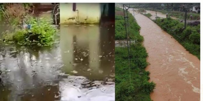 മഴ തുടരുന്നു ; കുട്ടനാട്ടില് പലയിടത്തും വെള്ളക്കെട്ട് ; വിഴിഞ്ഞത്ത് വ്യാപക നാശനഷ്ടം മഴ തുടരുന്നു ; കുട്ടനാട്ടില് പലയിടത്തും വെള്ളക്കെട്ട് ; വിഴിഞ്ഞത്ത് വ്യാപക നാശനഷ്ടം