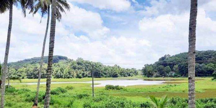 കുളനട ഗ്രാമപഞ്ചായത്തിന്റെ വികസനത്തിന് വേഗം കൂട്ടാന് പോളച്ചിറ ടൂറിസം പദ്ധതിക്ക് സാധിക്കും ; മന്ത്രി വീണാജോര്ജ് കുളനട ഗ്രാമപഞ്ചായത്തിന്റെ വികസനത്തിന് വേഗം കൂട്ടാന് പോളച്ചിറ ടൂറിസം പദ്ധതിക്ക് സാധിക്കും ; മന്ത്രി വീണാജോര്ജ്