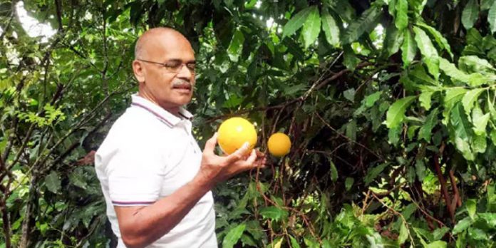 വൈവിധ്യങ്ങളിൽ നിറഞ്ഞ് ഷംസുദ്ദീൻ ഹാജിയുടെ കാർഷിക യാത്ര വൈവിധ്യങ്ങളിൽ നിറഞ്ഞ് ഷംസുദ്ദീൻ ഹാജിയുടെ കാർഷിക യാത്ര