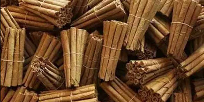 ശബരിമല തീര്ഥാടനം : 41 കോട്പ കേസുകളില് എക്സൈസ് പിഴ ഈടാക്കി ശബരിമല തീര്ഥാടനം : 41 കോട്പ കേസുകളില് എക്സൈസ് പിഴ ഈടാക്കി