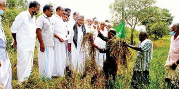 കർഷകർക്ക് നഷ്ടപരിഹാരം നൽകണം ; സ്വതന്ത്ര കർഷകസംഘം കർഷകർക്ക് നഷ്ടപരിഹാരം നൽകണം ; സ്വതന്ത്ര കർഷകസംഘം