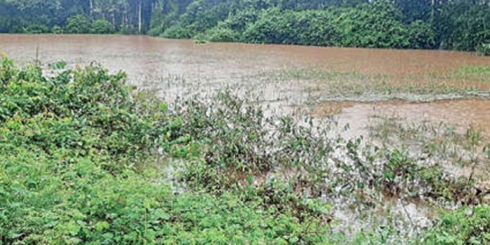സുകുമാരക്കുറുപ്പ് വീണ്ടും ചർച്ചകളിൽ : ചാക്കോപ്പാടം അന്വേഷിച്ച് സഞ്ചാരികൾ സുകുമാരക്കുറുപ്പ് വീണ്ടും ചർച്ചകളിൽ : ചാക്കോപ്പാടം അന്വേഷിച്ച് സഞ്ചാരികൾ