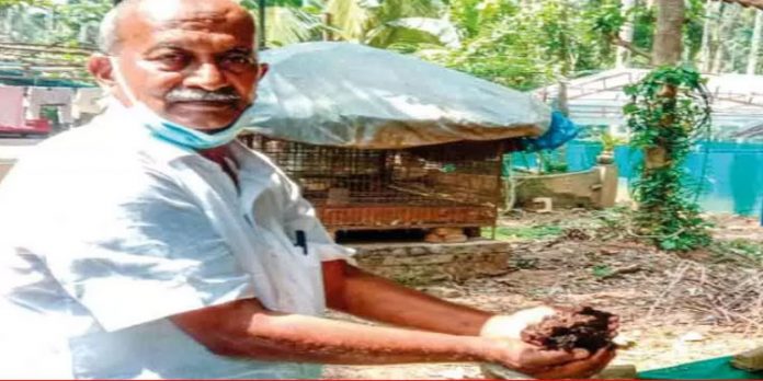 സമ്മിശ്ര കൃഷിയിൽ വിജയം കൊയ്ത് ഹംസ സമ്മിശ്ര കൃഷിയിൽ വിജയം കൊയ്ത് ഹംസ