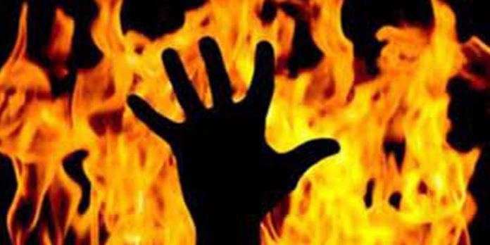 കൊല്ലത്തെ വയോധികയുടേത് കൊലപാതകം – മരുമകൾ അറസ്റ്റില് ; തലക്ക് അടിച്ച ശേഷം തീകൊളുത്തി കൊല്ലത്തെ വയോധികയുടേത് കൊലപാതകം – മരുമകൾ അറസ്റ്റില് ; തലക്ക് അടിച്ച ശേഷം തീകൊളുത്തി