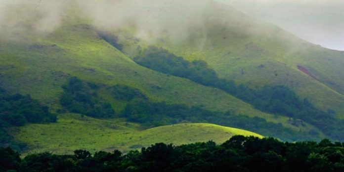 വയനാട്ടിലെ കാർബൺ ന്യൂട്രൽ മാതൃക രാജ്യവ്യാപകമാക്കാൻ കേന്ദ്രം വയനാട്ടിലെ കാർബൺ ന്യൂട്രൽ മാതൃക രാജ്യവ്യാപകമാക്കാൻ കേന്ദ്രം