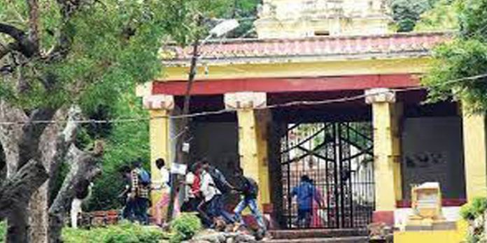 സാഹസിക പ്രിയരുടെ ഇഷ്ടകേന്ദ്രം ; എന്നുതുറക്കും ചാമുണ്ഡിമലയിലേക്കുള്ള 1008 പടികൾ? സാഹസിക പ്രിയരുടെ ഇഷ്ടകേന്ദ്രം ; എന്നുതുറക്കും ചാമുണ്ഡിമലയിലേക്കുള്ള 1008 പടികൾ?