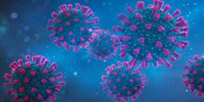 കോവിഡ് പരിശോധിക്കാതെ സ്വയം പനിക്ക് മരുന്ന് കഴിക്കരുത് ; മുന്നറിയിപ്പുമായി ആരോഗ്യവകുപ്പ് കോവിഡ് പരിശോധിക്കാതെ സ്വയം പനിക്ക് മരുന്ന് കഴിക്കരുത് ; മുന്നറിയിപ്പുമായി ആരോഗ്യവകുപ്പ്