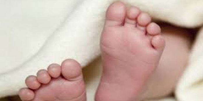 അട്ടപ്പാടിയിൽ വീണ്ടും ശിശു മരണം അട്ടപ്പാടിയിൽ വീണ്ടും ശിശു മരണം