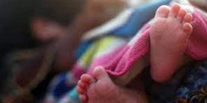 ശിശുമരണം ; ആദിവാസി അമ്മമാർക്കുള്ള പോഷകാഹാര പദ്ധതി അട്ടിമറിക്കപ്പെട്ടു ; മന്ത്രി ഇന്ന് അട്ടപ്പാടിയിൽ ശിശുമരണം ; ആദിവാസി അമ്മമാർക്കുള്ള പോഷകാഹാര പദ്ധതി അട്ടിമറിക്കപ്പെട്ടു ; മന്ത്രി ഇന്ന് അട്ടപ്പാടിയിൽ