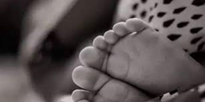 ദത്ത് നല്കിയെ കുഞ്ഞിനെ തിരികെ വേണമെന്ന് അമ്മ ആഴ്ചയിലൊരിക്കല് കാണാമെന്ന് കോടതി ദത്ത് നല്കിയെ കുഞ്ഞിനെ തിരികെ വേണമെന്ന് അമ്മ ആഴ്ചയിലൊരിക്കല് കാണാമെന്ന് കോടതി
