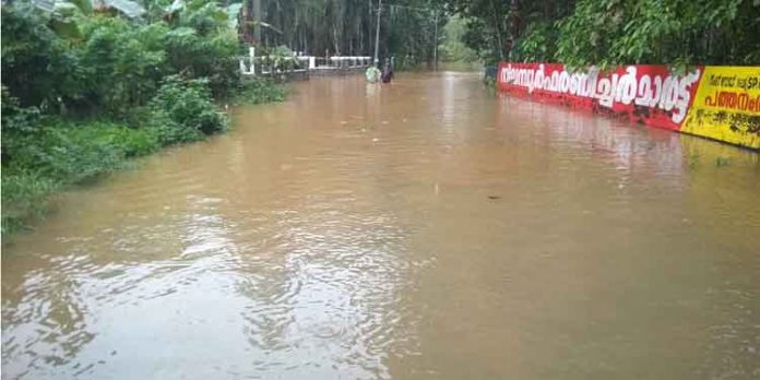 മഴക്കെടുതി : പത്തനംതിട്ട ജില്ലയില് 46 കോടി രൂപയുടെ കൃഷിനാശം മഴക്കെടുതി : പത്തനംതിട്ട ജില്ലയില് 46 കോടി രൂപയുടെ കൃഷിനാശം