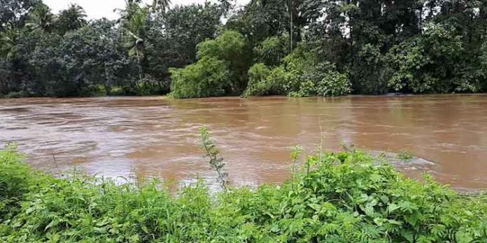 കൊക്കാത്തോട്ടില് ഉരുള് പൊട്ടി ; അച്ചന്കോവിലാറ്റില് ക്രമാതീതമായി ജലനിരപ്പ് ഉയരുന്നു കൊക്കാത്തോട്ടില് ഉരുള് പൊട്ടി ; അച്ചന്കോവിലാറ്റില് ക്രമാതീതമായി ജലനിരപ്പ് ഉയരുന്നു