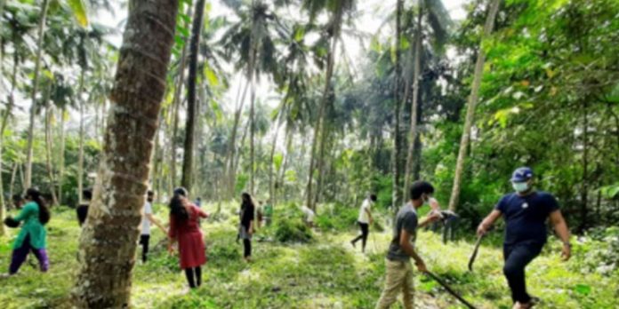 പുതുതലമുറക്ക് ആവേശം പകർന്ന് കുട്ടിക്കർഷകർ പുതുതലമുറക്ക് ആവേശം പകർന്ന് കുട്ടിക്കർഷകർ