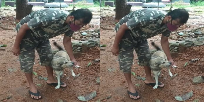 കുട്ടവഞ്ചി സവാരി കേന്ദ്രത്തിൻ്റെ ഓമനയായി സൂസി കുട്ടവഞ്ചി സവാരി കേന്ദ്രത്തിൻ്റെ ഓമനയായി സൂസി