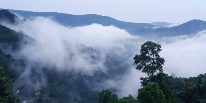 കോടമഞ്ഞ് പുതച്ച് പൂച്ചക്കുളം ; സഞ്ചാരികൾക്ക് നവ്യാനുഭവം ഉണർത്തുന്നു കോടമഞ്ഞ് പുതച്ച് പൂച്ചക്കുളം ; സഞ്ചാരികൾക്ക് നവ്യാനുഭവം ഉണർത്തുന്നു