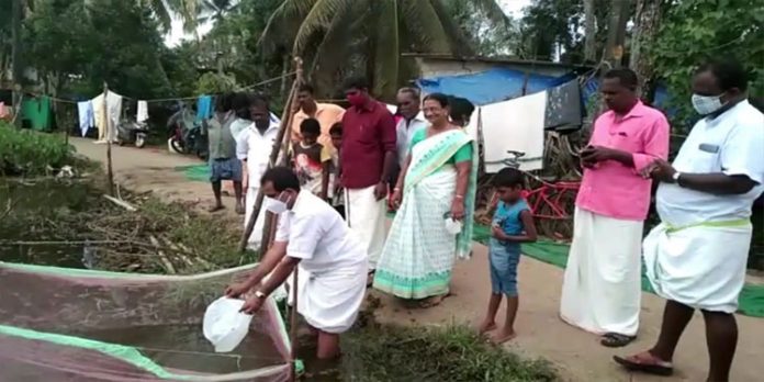സുഭിക്ഷ കേരളം പദ്ധതി ; പഞ്ചായത്ത് വക കുളത്തിൽ 1800 മത്സ്യക്കുഞ്ഞുങ്ങളെ നിക്ഷേപിച്ചു സുഭിക്ഷ കേരളം പദ്ധതി ; പഞ്ചായത്ത് വക കുളത്തിൽ 1800 മത്സ്യക്കുഞ്ഞുങ്ങളെ നിക്ഷേപിച്ചു