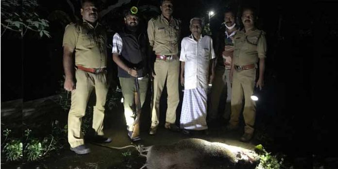 ഉതിമൂട്ടില് കാട്ടുപന്നിയെ വെടിവെച്ചു കൊന്നു ഉതിമൂട്ടില് കാട്ടുപന്നിയെ വെടിവെച്ചു കൊന്നു