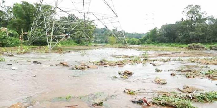 അങ്ങാടി പൂവന്മലയില് പാടശേഖരങ്ങളിലെ മടവീഴ്ചയില് തകർത്തെറിഞ്ഞത് പരമ്പരാഗത കർഷകരുടെ സ്വപ്നങ്ങള് അങ്ങാടി പൂവന്മലയില് പാടശേഖരങ്ങളിലെ മടവീഴ്ചയില് തകർത്തെറിഞ്ഞത് പരമ്പരാഗത കർഷകരുടെ സ്വപ്നങ്ങള്