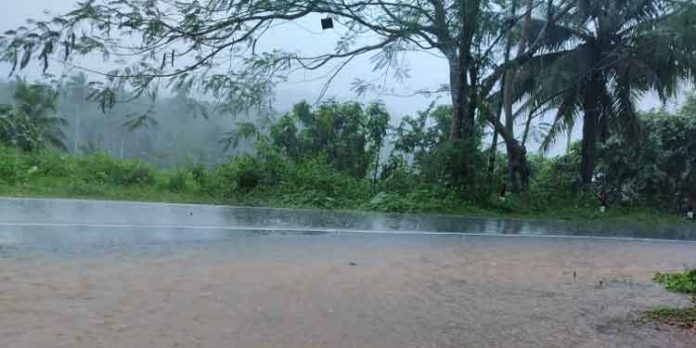 പത്തനംതിട്ടയില് കനത്ത മഴ ; ആശങ്കയോടെ മലയോര നിവാസികള് പത്തനംതിട്ടയില് കനത്ത മഴ ; ആശങ്കയോടെ മലയോര നിവാസികള്