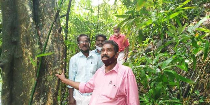 കുരുമ്പന്മൂഴിയില് കോസ് വേക്കു പകരം പാലം നിര്മ്മിക്കണം ; സി.പി.ഐ കുരുമ്പന്മൂഴിയില് കോസ് വേക്കു പകരം പാലം നിര്മ്മിക്കണം ; സി.പി.ഐ