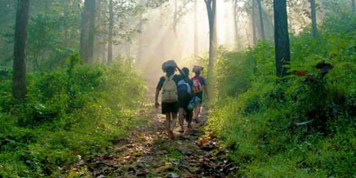 ശബരിമല തീര്ഥാടനം ; എല്ലാ വകുപ്പുകളും സമയബന്ധിതമായി പ്രവര്ത്തനങ്ങള് പൂര്ത്തിയാക്കണം – ജില്ലാ കളക്ടര് ശബരിമല തീര്ഥാടനം ; എല്ലാ വകുപ്പുകളും സമയബന്ധിതമായി പ്രവര്ത്തനങ്ങള് പൂര്ത്തിയാക്കണം – ജില്ലാ കളക്ടര്