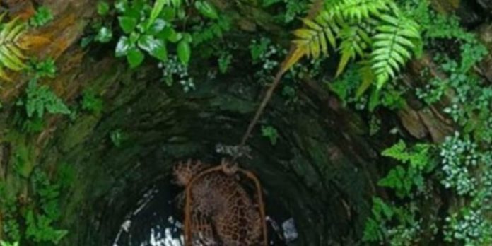 കോത്തഗിരിയില് കുടിവെള്ള കിണറ്റില് പുലി വീണു കോത്തഗിരിയില് കുടിവെള്ള കിണറ്റില് പുലി വീണു
