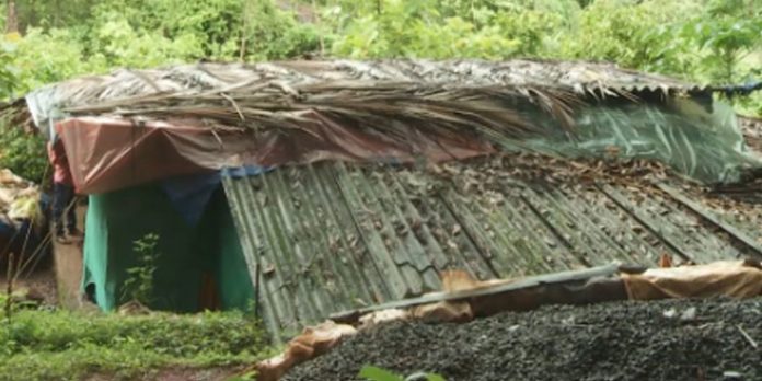 നെല്ലിയാമ്പതിയിലെ പാടികളിൽ തൊഴിലാളികൾക്ക് ദുരിത ജീവിതം നെല്ലിയാമ്പതിയിലെ പാടികളിൽ തൊഴിലാളികൾക്ക് ദുരിത ജീവിതം
