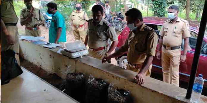 ആളില്ലാത്ത വീട്ടില് നിന്ന് 35 കിലോ കഞ്ചാവ് കണ്ടെടുത്തു ആളില്ലാത്ത വീട്ടില് നിന്ന് 35 കിലോ കഞ്ചാവ് കണ്ടെടുത്തു