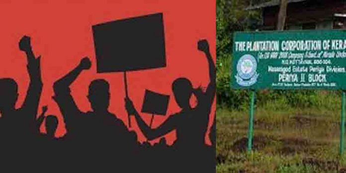 പ്ളാന്റേഷന് കോര്പറേഷന് തൊഴിലാളികള് സമരത്തിലേയ്ക്ക് ; കൂലി വര്ദ്ധന നടപ്പാക്കിയില്ല മന്ത്രിയുടെ വാക്കും പഴംചാക്കും… പ്ളാന്റേഷന് കോര്പറേഷന് തൊഴിലാളികള് സമരത്തിലേയ്ക്ക് ; കൂലി വര്ദ്ധന നടപ്പാക്കിയില്ല മന്ത്രിയുടെ വാക്കും പഴംചാക്കും…