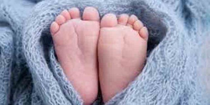 തൊട്ടിലിൽ ഉറക്കിക്കിടത്തിയ ഏഴ് മാസം പ്രായമായ കുഞ്ഞ് മരിച്ചു തൊട്ടിലിൽ ഉറക്കിക്കിടത്തിയ ഏഴ് മാസം പ്രായമായ കുഞ്ഞ് മരിച്ചു