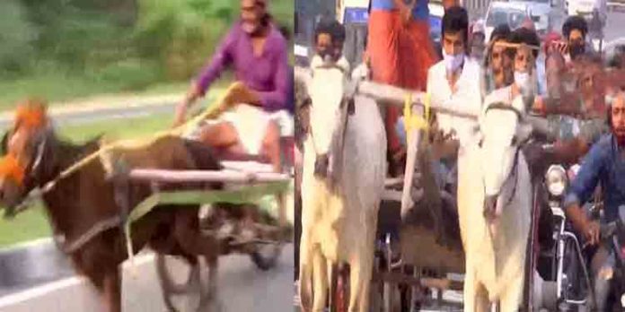 ക്രൂരതയുടെ പര്യായമായി മാറുന്ന യുവത ; മനുഷ്യരോടു മാത്രമല്ല മിണ്ടാപ്രാണികളോടും കാട്ടുന്നത് കൈവിട്ട ക്രൂരത ക്രൂരതയുടെ പര്യായമായി മാറുന്ന യുവത ; മനുഷ്യരോടു മാത്രമല്ല മിണ്ടാപ്രാണികളോടും കാട്ടുന്നത് കൈവിട്ട ക്രൂരത