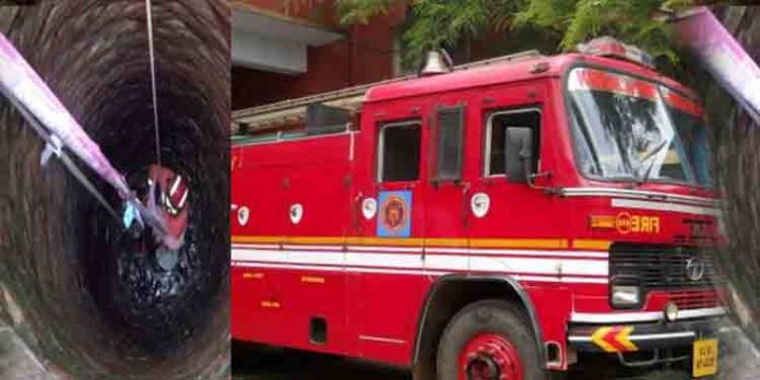 ഫയര് ആന്ഡ് റെസ്ക്യൂ സര്വീസിന്റെ നേതൃത്വത്തില് പമ്പയില് മോക്ഡ്രില് ഫയര് ആന്ഡ് റെസ്ക്യൂ സര്വീസിന്റെ നേതൃത്വത്തില് പമ്പയില് മോക്ഡ്രില്