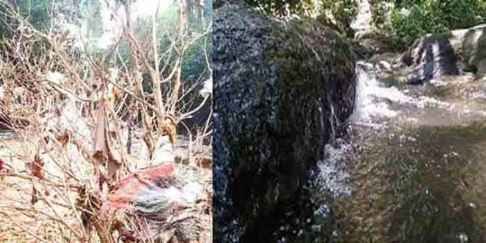 കല്ലാറിലെ മാലിന്യകൂമ്പാരം നീക്കം ചെയ്യാന് നടപടി സ്വീകരിക്കണം ; ആവശ്യവുമായി നാട്ടുകാർ രംഗത്ത് കല്ലാറിലെ മാലിന്യകൂമ്പാരം നീക്കം ചെയ്യാന് നടപടി സ്വീകരിക്കണം ; ആവശ്യവുമായി നാട്ടുകാർ രംഗത്ത്