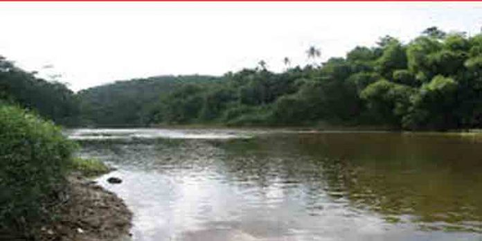 പമ്പാ നദിയില് രാസവസ്തുക്കള് കലക്കി മീന് പിടിക്കുന്നതായി പരാതി പമ്പാ നദിയില് രാസവസ്തുക്കള് കലക്കി മീന് പിടിക്കുന്നതായി പരാതി