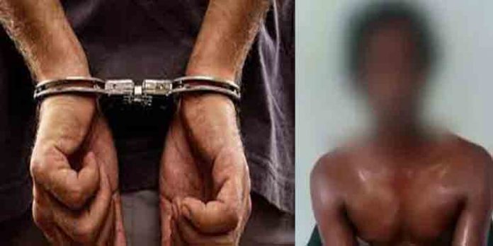 വിദ്യാര്ഥിയെ മദ്യപസംഘം കെട്ടിയിട്ട് മര്ദ്ദിച്ച സംഭവത്തില് അഞ്ച് പേര് അറസ്റ്റില് വിദ്യാര്ഥിയെ മദ്യപസംഘം കെട്ടിയിട്ട് മര്ദ്ദിച്ച സംഭവത്തില് അഞ്ച് പേര് അറസ്റ്റില്