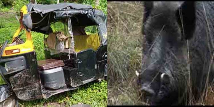 കട്ടിപ്പാറയില് കാട്ടുപന്നി ഓട്ടോയിലിടിച്ച് മരിച്ച റഷീദിന്റ കുടുംബത്തിന് ഉദ്യോഗസ്ഥരുടെ പരിഹാസം കട്ടിപ്പാറയില് കാട്ടുപന്നി ഓട്ടോയിലിടിച്ച് മരിച്ച റഷീദിന്റ കുടുംബത്തിന് ഉദ്യോഗസ്ഥരുടെ പരിഹാസം