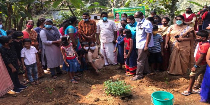 മക്കപ്പുഴ ഗവ. എൽ പി സ്കൂളിലെ തരിശ് ഭൂമിയില് പച്ചക്കറി കൃഷി ആരംഭിച്ചു മക്കപ്പുഴ ഗവ. എൽ പി സ്കൂളിലെ തരിശ് ഭൂമിയില് പച്ചക്കറി കൃഷി ആരംഭിച്ചു