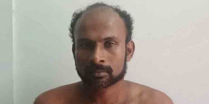 എടത്വയില് കുറുവ മോഡല് മോഷണശ്രമo ; യുവാവ് പിടിയില് എടത്വയില് കുറുവ മോഡല് മോഷണശ്രമo ; യുവാവ് പിടിയില്