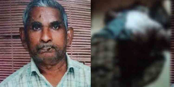 വയോധികനെ ദുരൂഹ സാഹചര്യത്തില് മരിച്ച നിലയില് കണ്ടെത്തി വയോധികനെ ദുരൂഹ സാഹചര്യത്തില് മരിച്ച നിലയില് കണ്ടെത്തി