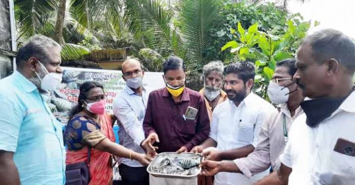 കൂടുമത്സ്യകൃഷിയിലൂടെ കരിമീൻ, തിലാപ്പിയ വിളവെടുപ്പ് കൂടുമത്സ്യകൃഷിയിലൂടെ കരിമീൻ, തിലാപ്പിയ വിളവെടുപ്പ്
