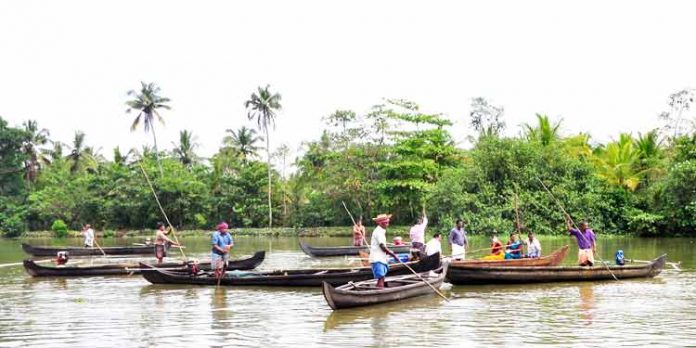 വേമ്പനാട് കായലിലെ കക്ക പുനരുജ്ജീവന പദ്ധതി വൻ വിജയം ; പ്രതിദിനം 10 ടൺ വിളവെടുപ്പ് വേമ്പനാട് കായലിലെ കക്ക പുനരുജ്ജീവന പദ്ധതി വൻ വിജയം ; പ്രതിദിനം 10 ടൺ വിളവെടുപ്പ്