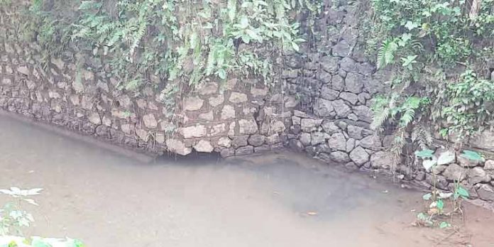 അത്തിക്കയത്ത് നിന്നും കടുമീന്ചിറ റോഡിലേക്കുള്ള പാലത്തിന്റെ അടിത്തറക്ക് ബലക്ഷയം ; പരിഹരിക്കണമെന്ന് നാട്ടുകാര് അത്തിക്കയത്ത് നിന്നും കടുമീന്ചിറ റോഡിലേക്കുള്ള പാലത്തിന്റെ അടിത്തറക്ക് ബലക്ഷയം ; പരിഹരിക്കണമെന്ന് നാട്ടുകാര്