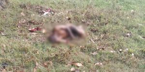 കടപ്ര വള്ളക്കടവില് കത്തിക്കരിഞ്ഞ നിലയില് കണ്ടെത്തിയ മൃതദേഹം തിരിച്ചറിഞ്ഞു കടപ്ര വള്ളക്കടവില് കത്തിക്കരിഞ്ഞ നിലയില് കണ്ടെത്തിയ മൃതദേഹം തിരിച്ചറിഞ്ഞു