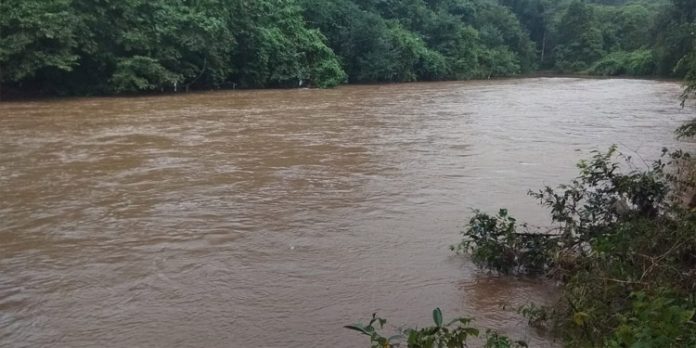കല്ലാറ്റില് തോട്ട എറിഞ്ഞ് മീന് പിടിക്കുന്ന സംഘങ്ങള് വ്യാപകം കല്ലാറ്റില് തോട്ട എറിഞ്ഞ് മീന് പിടിക്കുന്ന സംഘങ്ങള് വ്യാപകം