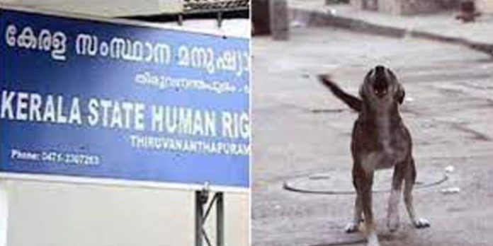 കോഴിക്കോട് ജില്ലാ കോടതി വളപ്പിലെ തെരുവുനായ ശല്യം ; നടപടി ആവശ്യപ്പെട്ട് മനുഷ്യാവകാശകമ്മീഷൻ കോഴിക്കോട് ജില്ലാ കോടതി വളപ്പിലെ തെരുവുനായ ശല്യം ; നടപടി ആവശ്യപ്പെട്ട് മനുഷ്യാവകാശകമ്മീഷൻ