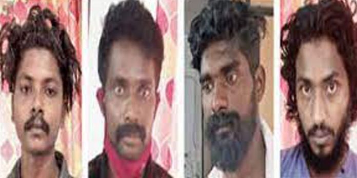 പോത്തുകളെ മോഷ്ടിച്ച് കശാപ്പ് ചെയ്ത് വില്പ്പന ; സഹോദരങ്ങളടക്കം നാലുപേര് പിടിയില് പോത്തുകളെ മോഷ്ടിച്ച് കശാപ്പ് ചെയ്ത് വില്പ്പന ; സഹോദരങ്ങളടക്കം നാലുപേര് പിടിയില്